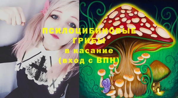 стаф Баксан