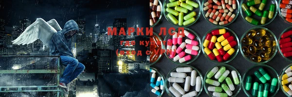 стаф Баксан
