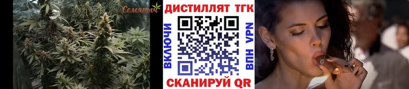 ТГК концентрат  Гулькевичи 