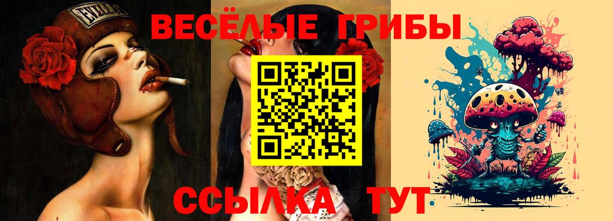 Псилоцибиновые грибы мицелий Гулькевичи